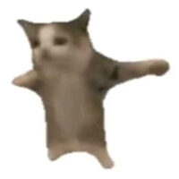 tidebo9